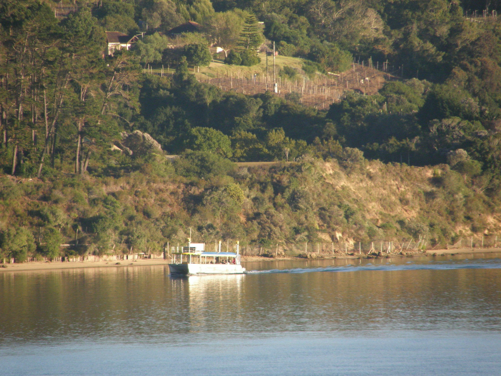 Augusta Bay Guest House Knysna Dış mekan fotoğraf